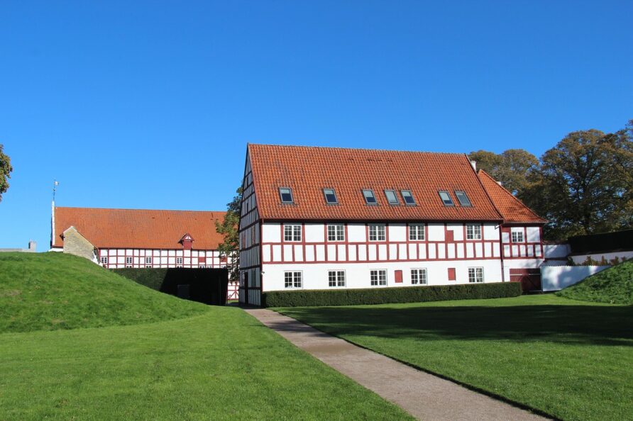 Hvepsebekæmpelse Aalborg naturligt